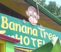 Banana Tree Hotel